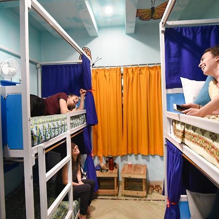 Gypsy Nest Hostel Agra  Kültér fotó